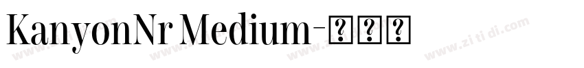 KanyonNr Medium字体转换